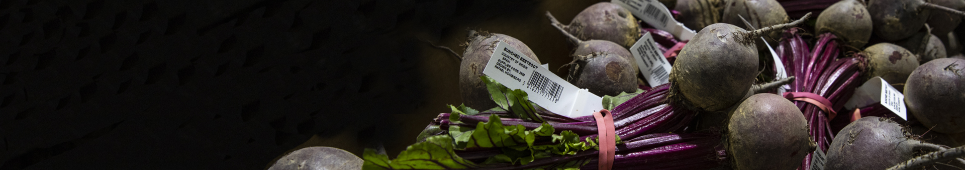 Temperature Controlled Logistics